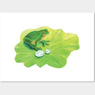 Frog On A Lily Pad Illustration Posters and Art